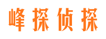 桑日外遇调查取证